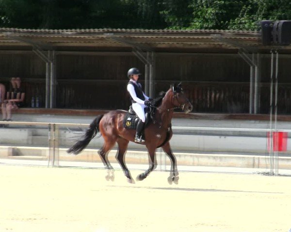 Reitturnier Ingolstadt-Hagau/Obb. 2025