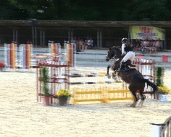 Reitturnier Ingolstadt-Hagau/Obb. 2025