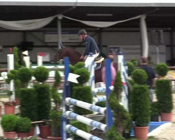 Großes Reit- und Springturnier Kirchhellen/Stall Dieckmann 2014