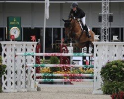 broodmare Billy Vitani (anglo european sporthorse, 2014, from Tangelo van de Zuuthoeve)