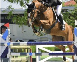 broodmare Billy Bakewell (anglo european sporthorse, 2014)