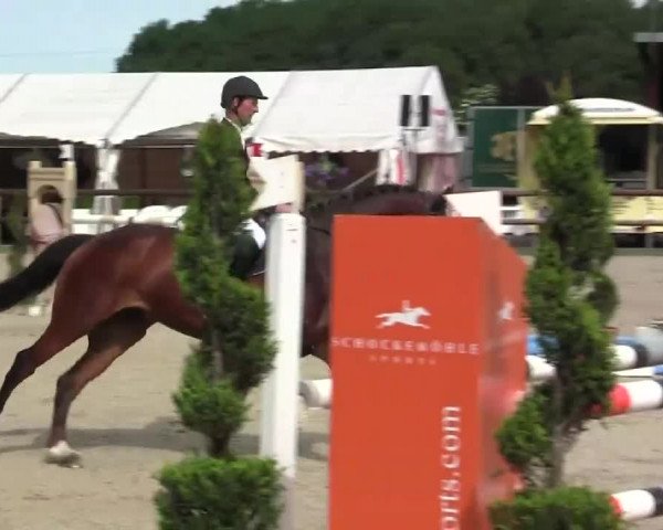 Großes Reit- und Springturnier Kirchhellen/Stall Dieckmann 2014