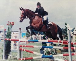 horse Eduard (KWPN (Royal Dutch Sporthorse), 1986, from Ulschalla)