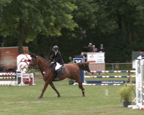 Reitturnier Wohlesbostel 2025