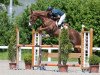 jumper Jinglebell CH (+) (Swiss Warmblood, 2007, from Veneur du Defey)