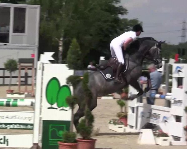 Großes Reit- und Springturnier Kirchhellen/Stall Dieckmann 2014