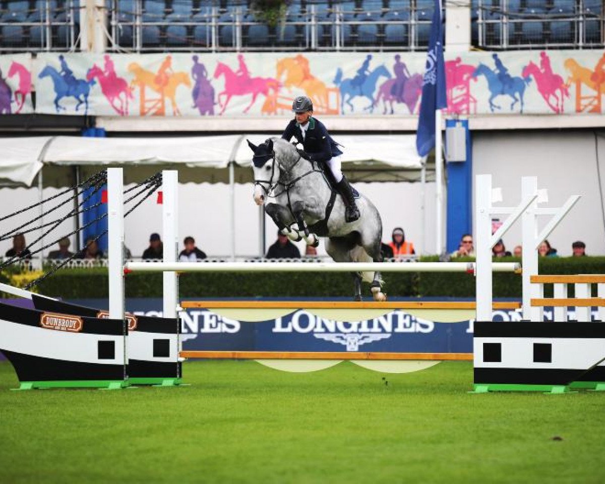 stallion Cornets Iberio (Hanoverian, 2012, from Cornet Obolensky)