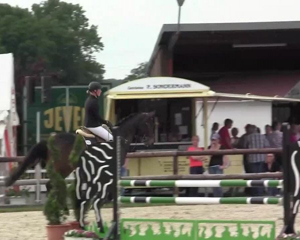 Großes Reit- und Springturnier Kirchhellen/Stall Dieckmann 2014