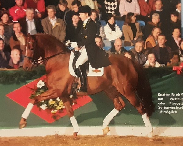 horse Quattro B (Selle Français, 1990, from Qredo de Paulstra)