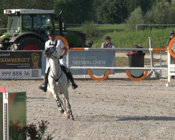 Springturnier Seewalchen 2025