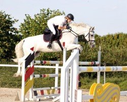 broodmare Cassina 56 (Holsteiner, 2008, from Cassini I)