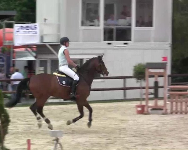 Großes Reit- und Springturnier Kirchhellen/Stall Dieckmann 2014