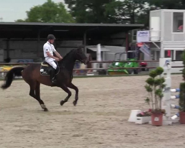 Großes Reit- und Springturnier Kirchhellen/Stall Dieckmann 2014