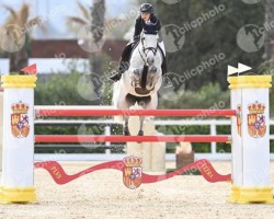 jumper Ironie des Pres Sauvages (Belgium Sporthorse, 2014, from Coeur de Cachas)