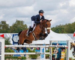 broodmare Nauwsika van de Pereboom (Belgian Warmblood, 2013, from Thunder van de Zuuthoeve)