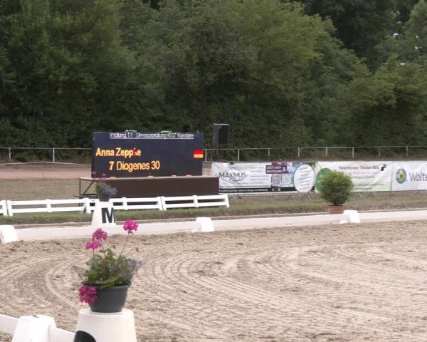Reitturnier Heiligenwald 2025