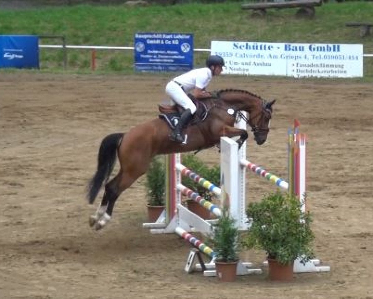 jumper L'amour toujours 7 (Oldenburg, 2011, from Lissaro)