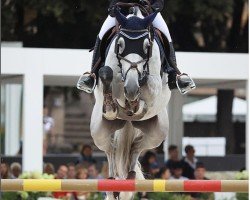jumper Krista (Sella Italiano, 2015, from Kannan)