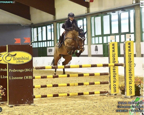jumper Ginevra del Tiglio (unknown, 2012, from Grand Royal)