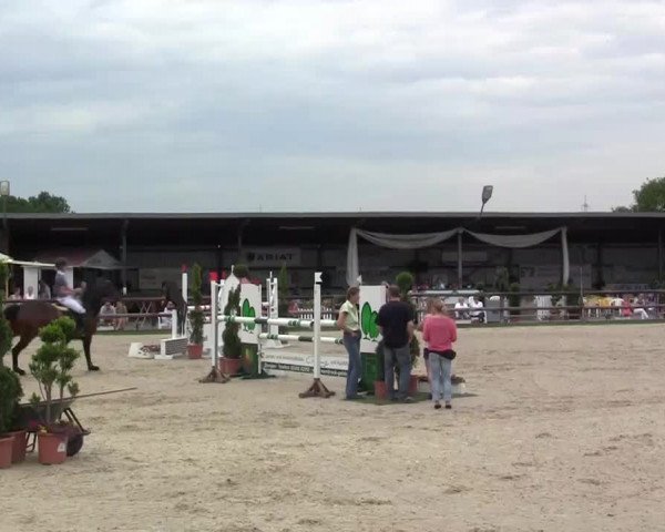 Großes Reit- und Springturnier Kirchhellen/Stall Dieckmann 2014