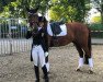 dressage horse Orion 186 (Mecklenburg, 2002, from Oxford)