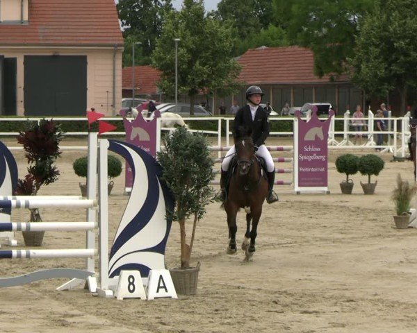 Reitturnier Neustadt/Dosse 2025
