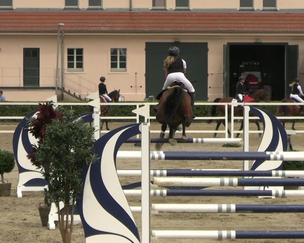 Reitturnier Neustadt/Dosse 2025