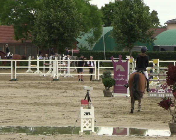 Reitturnier Neustadt/Dosse 2025