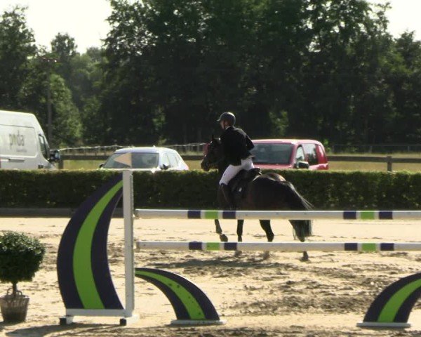 Reitturnier Neustadt/Dosse 2025