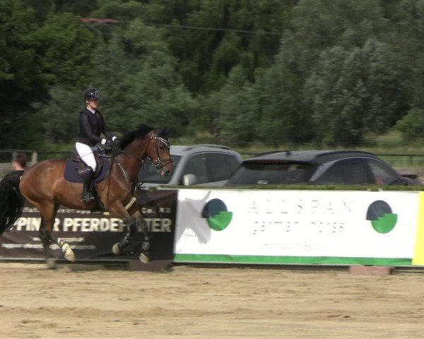 Reitturnier Neustadt/Dosse 2025