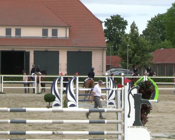 Reitturnier Neustadt/Dosse 2025