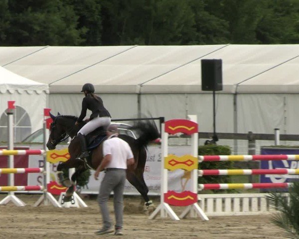 Reitturnier Neustadt/Dosse 2025