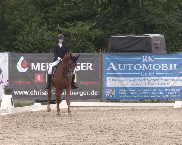 Reitturnier Heiligenwald 2025