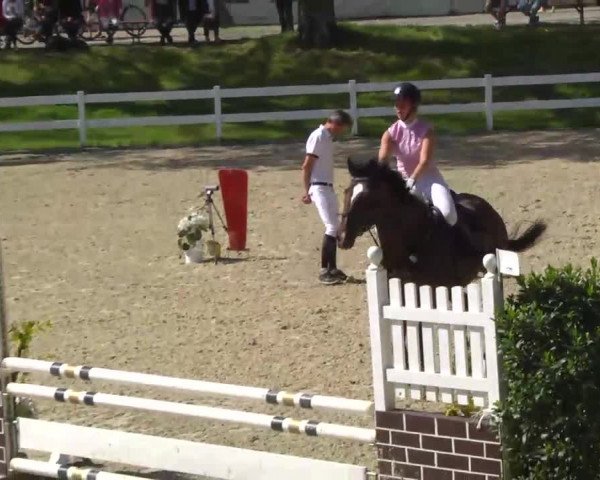 Springturnier Isny 2014