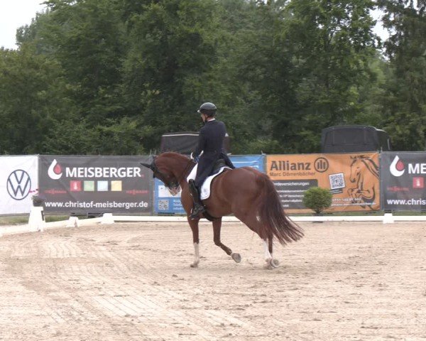 Reitturnier Heiligenwald 2025