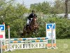 dressage horse Ferdinand (Hungarian Warmblood, 2014, from Páholy)