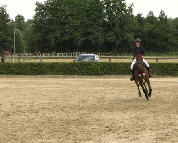 Reitturnier Neustadt/Dosse 2025