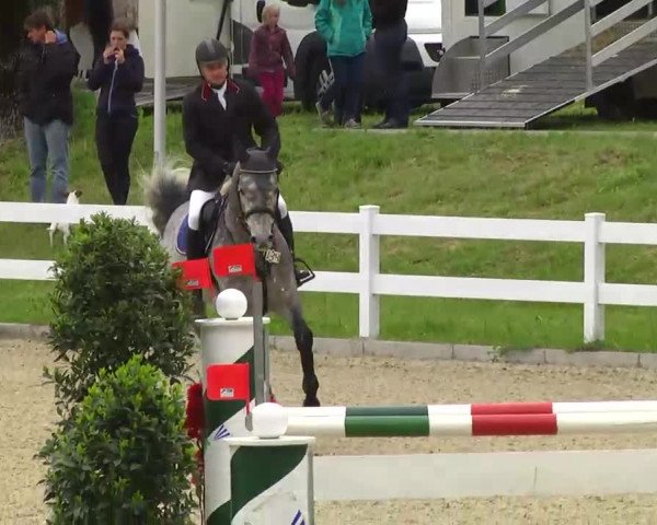 Springturnier Isny 2014
