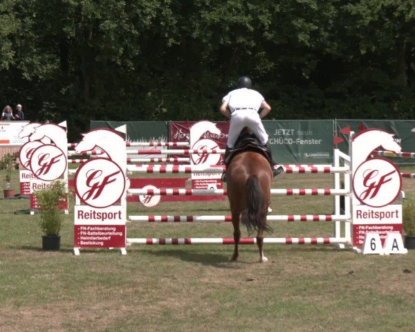 Reitturnier Wohlesbostel 2025