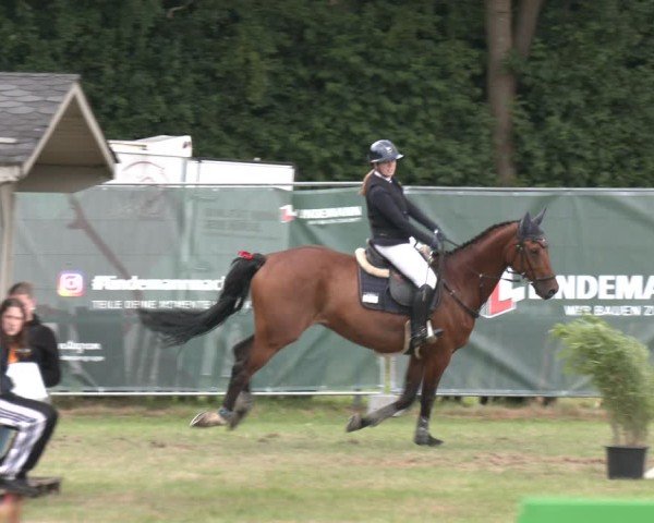 Reitturnier Wohlesbostel 2025