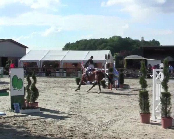 Großes Reit- und Springturnier Kirchhellen/Stall Dieckmann 2014