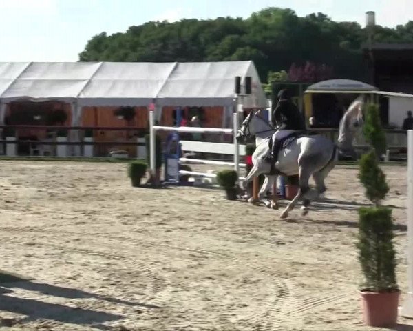 Großes Reit- und Springturnier Kirchhellen/Stall Dieckmann 2014