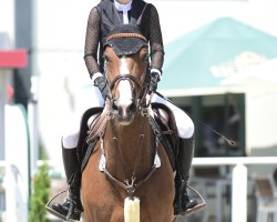 jumper It's Dayenna (Holsteiner, 2016, from Diarado)