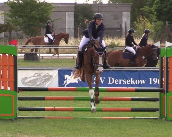 Reitturnier Dersekow 2025