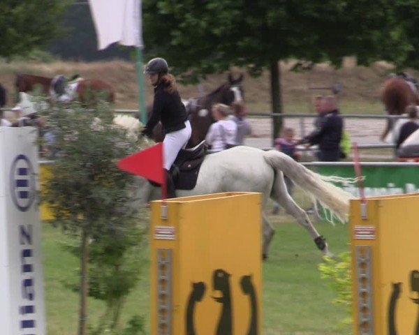 Reitturnier Dersekow 2025