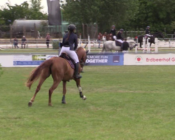 Reitturnier Dersekow 2025