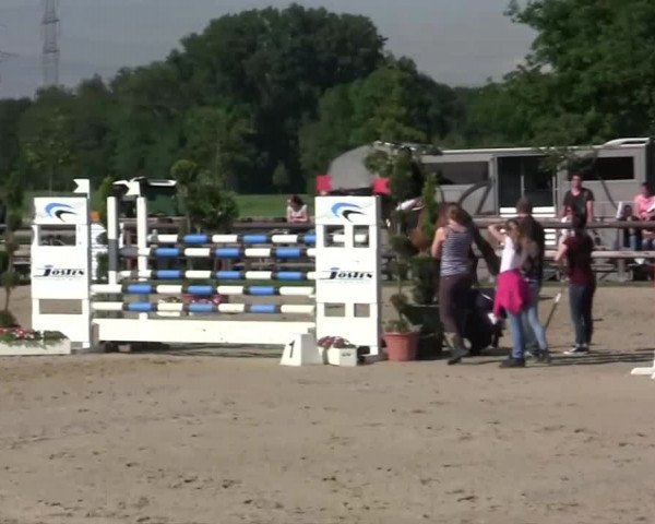 Großes Reit- und Springturnier Kirchhellen/Stall Dieckmann 2014