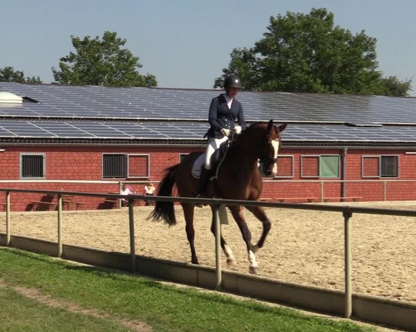 Reitturnier Ascheberg 2021