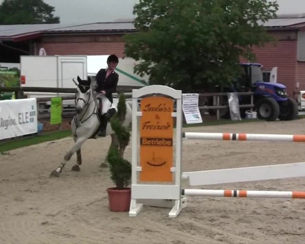 Großes Reit- und Springturnier Kirchhellen/Stall Dieckmann 2014