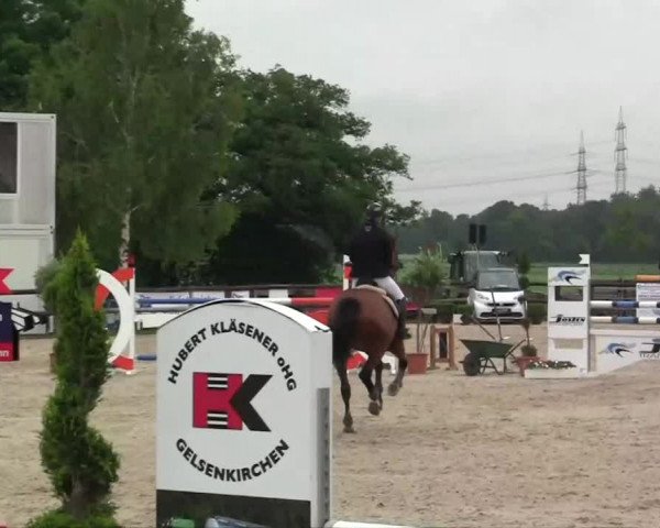 Großes Reit- und Springturnier Kirchhellen/Stall Dieckmann 2014